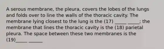 A serous membrane, the pleura, covers the lobes of the lungs and folds over to line the walls of the thoracic cavity. The membrane lying closest to the lung is the (17) _____ _____; the membrane that lines the thoracic cavity is the (18) parietal pleura. The space between these two membranes is the (19)_____ ______