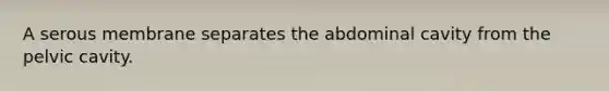 A serous membrane separates the abdominal cavity from the pelvic cavity.