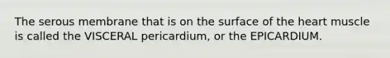 The serous membrane that is on the surface of <a href='https://www.questionai.com/knowledge/kya8ocqc6o-the-heart' class='anchor-knowledge'>the heart</a> muscle is called the VISCERAL pericardium, or the EPICARDIUM.