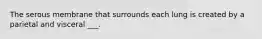 The serous membrane that surrounds each lung is created by a parietal and visceral ___.