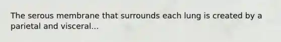The serous membrane that surrounds each lung is created by a parietal and visceral...
