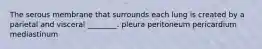 The serous membrane that surrounds each lung is created by a parietal and visceral ________. pleura peritoneum pericardium mediastinum