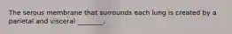The serous membrane that surrounds each lung is created by a parietal and visceral ________.
