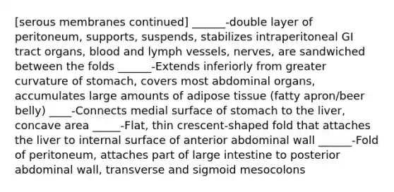 [serous membranes continued] ______-double layer of peritoneum, supports, suspends, stabilizes intraperitoneal GI tract organs, blood and lymph vessels, nerves, are sandwiched between the folds ______-Extends inferiorly from greater curvature of stomach, covers most abdominal organs, accumulates large amounts of adipose tissue (fatty apron/beer belly) ____-Connects medial surface of stomach to the liver, concave area _____-Flat, thin crescent-shaped fold that attaches the liver to internal surface of anterior abdominal wall ______-Fold of peritoneum, attaches part of large intestine to posterior abdominal wall, transverse and sigmoid mesocolons