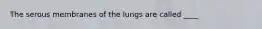 The serous membranes of the lungs are called ____