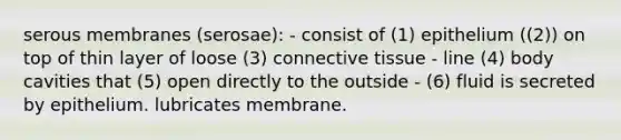 serous membranes (serosae): - consist of (1) epithelium ((2)) on top of thin layer of loose (3) connective tissue - line (4) body cavities that (5) open directly to the outside - (6) fluid is secreted by epithelium. lubricates membrane.