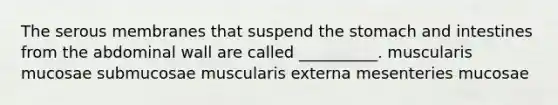 The serous membranes that suspend the stomach and intestines from the abdominal wall are called __________. muscularis mucosae submucosae muscularis externa mesenteries mucosae