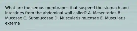 What are the serous membranes that suspend the stomach and intestines from the abdominal wall called? A. Mesenteries B. Mucosae C. Submucosae D. Muscularis mucosae E. Muscularis externa