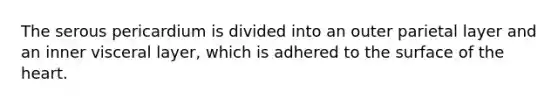 The serous pericardium is divided into an outer parietal layer and an inner visceral layer, which is adhered to the surface of the heart.