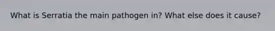 What is Serratia the main pathogen in? What else does it cause?