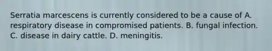 Serratia marcescens is currently considered to be a cause of A. respiratory disease in compromised patients. B. fungal infection. C. disease in dairy cattle. D. meningitis.