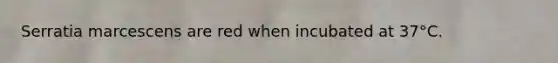 Serratia marcescens are red when incubated at 37°C.