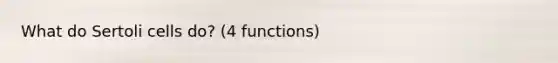 What do Sertoli cells do? (4 functions)