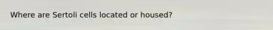 Where are Sertoli cells located or housed?