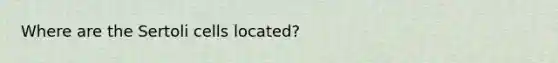 Where are the Sertoli cells located?