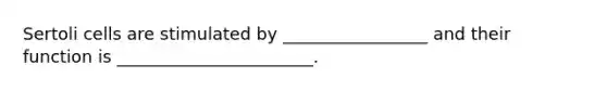 Sertoli cells are stimulated by _________________ and their function is _______________________.