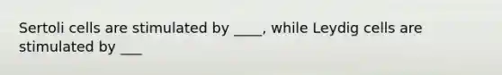 Sertoli cells are stimulated by ____, while Leydig cells are stimulated by ___