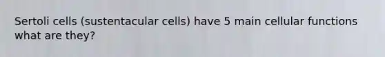 Sertoli cells (sustentacular cells) have 5 main cellular functions what are they?