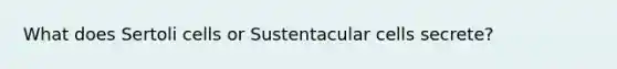 What does Sertoli cells or Sustentacular cells secrete?