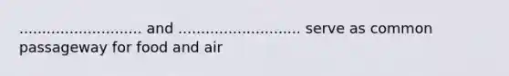 ........................... and ........................... serve as common passageway for food and air