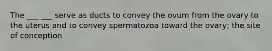 The ___ ___ serve as ducts to convey the ovum from the ovary to the uterus and to convey spermatozoa toward the ovary; the site of conception