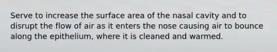 Serve to increase the surface area of the nasal cavity and to disrupt the flow of air as it enters the nose causing air to bounce along the epithelium, where it is cleaned and warmed.