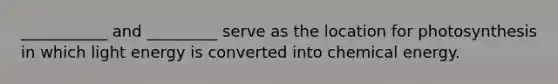 ___________ and _________ serve as the location for photosynthesis in which light energy is converted into chemical energy.