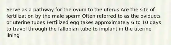 Serve as a pathway for the ovum to the uterus Are the site of fertilization by the male sperm Often referred to as the oviducts or uterine tubes Fertilized egg takes approximately 6 to 10 days to travel through the fallopian tube to implant in the uterine lining