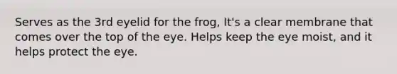 Serves as the 3rd eyelid for the frog, It's a clear membrane that comes over the top of the eye. Helps keep the eye moist, and it helps protect the eye.