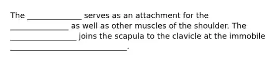 The ______________ serves as an attachment for the _______________ as well as other muscles of the shoulder. The _________________ joins the scapula to the clavicle at the immobile ______________________________.