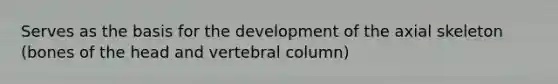 Serves as the basis for the development of the axial skeleton (bones of the head and vertebral column)