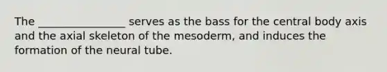 The ________________ serves as the bass for the central body axis and the axial skeleton of the mesoderm, and induces the formation of the neural tube.