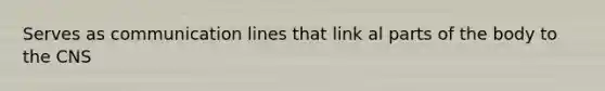 Serves as communication lines that link al parts of the body to the CNS