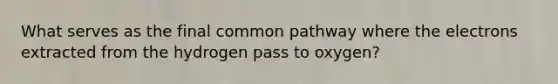 What serves as the final common pathway where the electrons extracted from the hydrogen pass to oxygen?