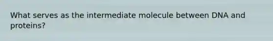 What serves as the intermediate molecule between DNA and proteins?