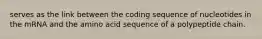 serves as the link between the coding sequence of nucleotides in the mRNA and the amino acid sequence of a polypeptide chain.