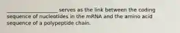 ____________________ serves as the link between the coding sequence of nucleotides in the mRNA and the amino acid sequence of a polypeptide chain.