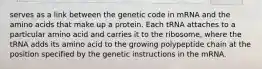 serves as a link between the genetic code in mRNA and the amino acids that make up a protein. Each tRNA attaches to a particular amino acid and carries it to the ribosome, where the tRNA adds its amino acid to the growing polypeptide chain at the position specified by the genetic instructions in the mRNA.