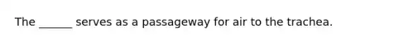 The ______ serves as a passageway for air to the trachea.