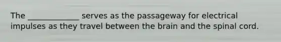 The _____________ serves as the passageway for electrical impulses as they travel between the brain and the spinal cord.