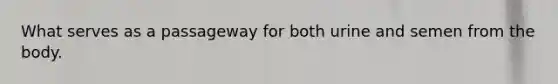 What serves as a passageway for both urine and semen from the body.