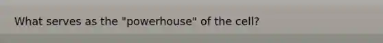 What serves as the "powerhouse" of the cell?