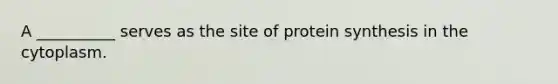 A __________ serves as the site of <a href='https://www.questionai.com/knowledge/kVyphSdCnD-protein-synthesis' class='anchor-knowledge'>protein synthesis</a> in the cytoplasm.