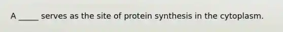 A _____ serves as the site of protein synthesis in the cytoplasm.