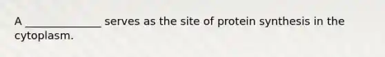 A ______________ serves as the site of protein synthesis in the cytoplasm.