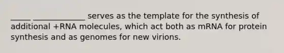 _____ _____________ serves as the template for the synthesis of additional +RNA molecules, which act both as mRNA for protein synthesis and as genomes for new virions.