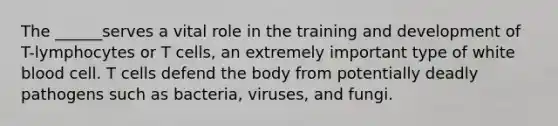 The ______serves a vital role in the training and development of T-lymphocytes or T cells, an extremely important type of white blood cell. T cells defend the body from potentially deadly pathogens such as bacteria, viruses, and fungi.