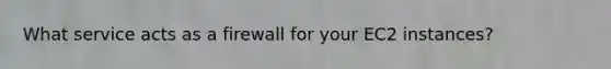 What service acts as a firewall for your EC2 instances?