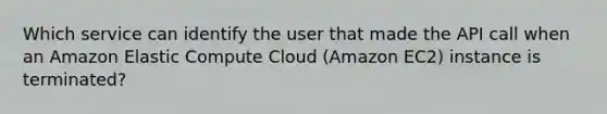 Which service can identify the user that made the API call when an Amazon Elastic Compute Cloud (Amazon EC2) instance is terminated?