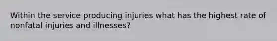 Within the service producing injuries what has the highest rate of nonfatal injuries and illnesses?